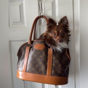 ***SOLD***Louis Vuitton Dog Carrier